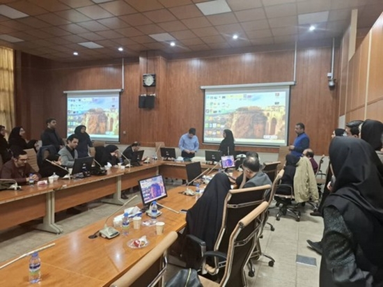 دوره یادگار (یادگیری برای گذار به استادی) 